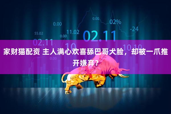 家财猫配资 主人满心欢喜舔巴哥犬脸，却被一爪推开嫌弃？