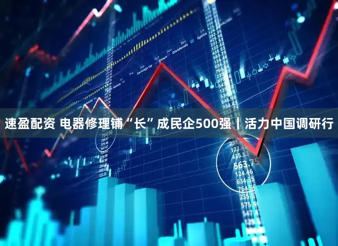 速盈配资 电器修理铺“长”成民企500强｜活力中国调研行