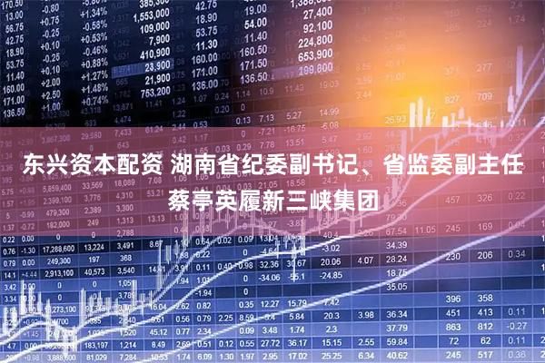 东兴资本配资 湖南省纪委副书记、省监委副主任蔡亭英履新三峡集团