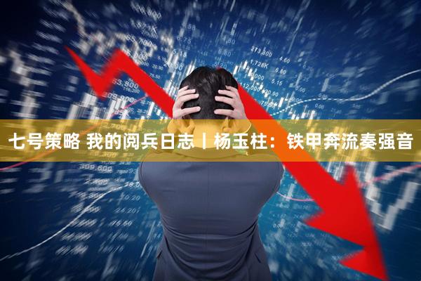 七号策略 我的阅兵日志丨杨玉柱：铁甲奔流奏强音