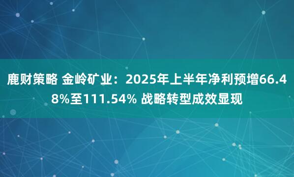 鹿财策略 金岭矿业：2025年上半年净利预增66.48%至111.54% 战略转型成效显现