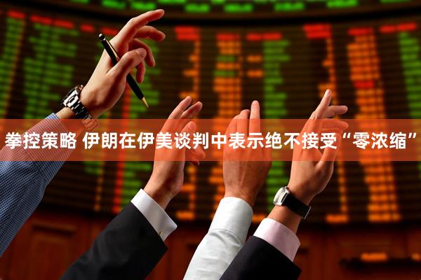 拳控策略 伊朗在伊美谈判中表示绝不接受“零浓缩”